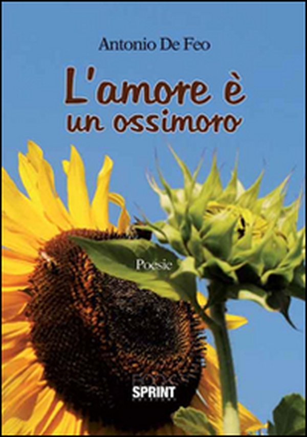 L'amore è un ossimoro - Librerie.coop L'amore è un ossimoro - Librerie.coop