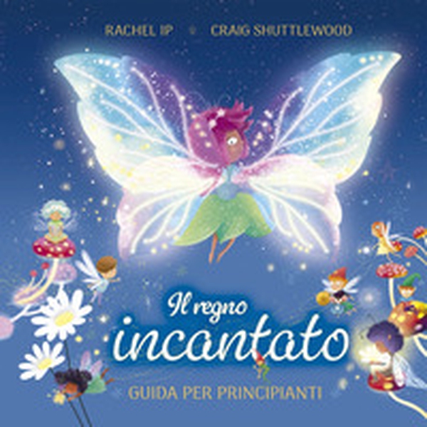 Il regno incantato. Guida per principianti - Librerie.coop