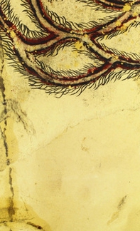 Simone Pellegrini. Agàlmata - Librerie.coop