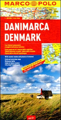 Danimarca 1:300.000 - Librerie.coop