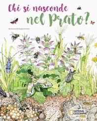 Chi si nasconde nel prato? - Librerie.coop