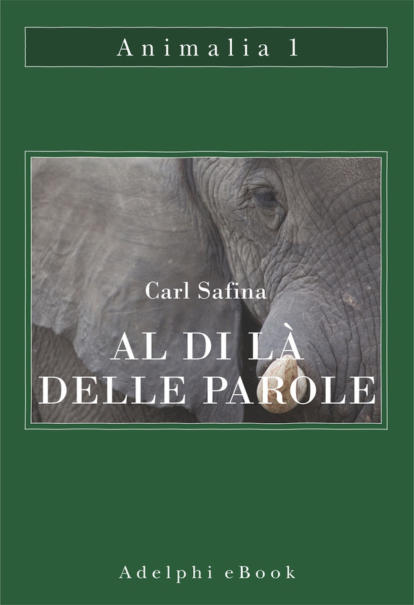 Al di là delle parole - Librerie.coop Al di là delle parole - Librerie.coop