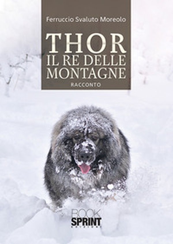 Thor il re delle montagne - Librerie.coop Thor il re delle montagne - Librerie.coop