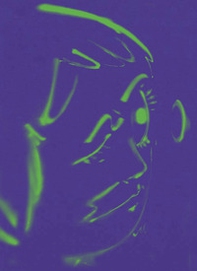 Hoda Kashiha: slipping on fragmented shapes. Ediz. inglese e francese - Librerie.coop