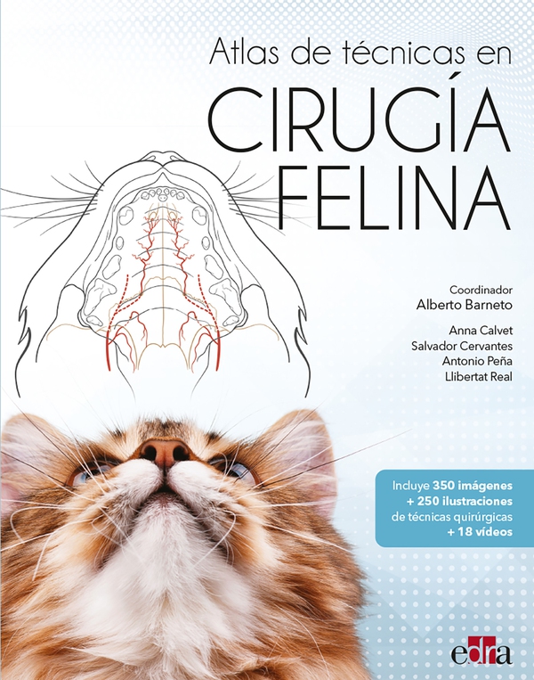Atlas de técnicas en cirugía felina - Librerie.coop Atlas de técnicas en cirugía felina - Librerie.coop