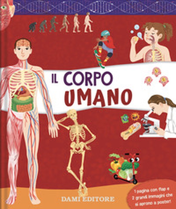 Il corpo umano - Librerie.coop Il corpo umano - Librerie.coop