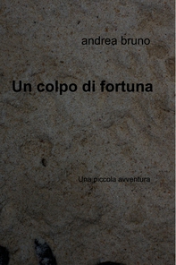 Un colpo di fortuna - Librerie.coop