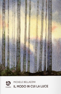 Il modo in cui la luce - Librerie.coop