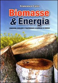 Biomasse & energia. Conoscere, scegliere e trasformare le biomasse in energia - Librerie.coop