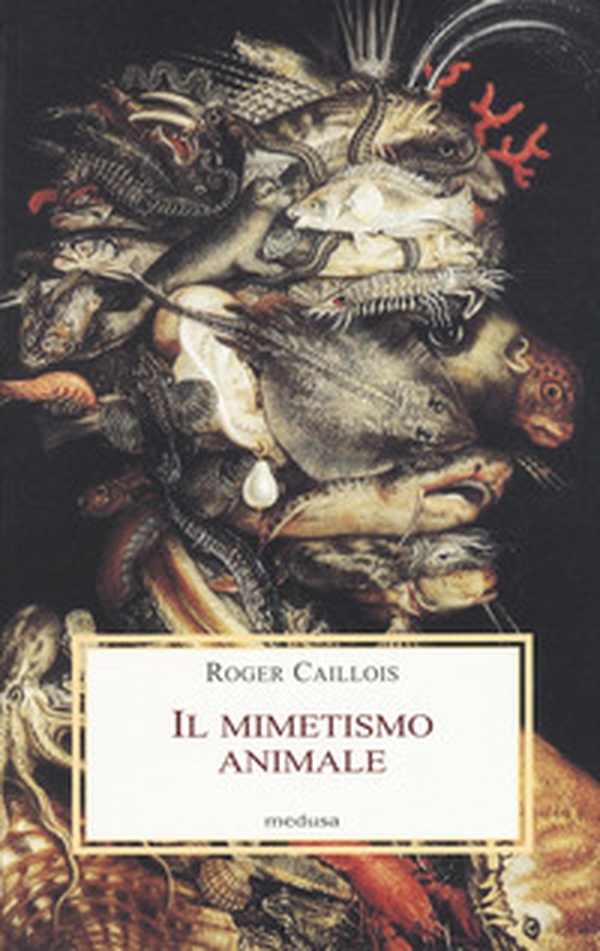 Il mimetismo animale - Librerie.coop Il mimetismo animale - Librerie.coop