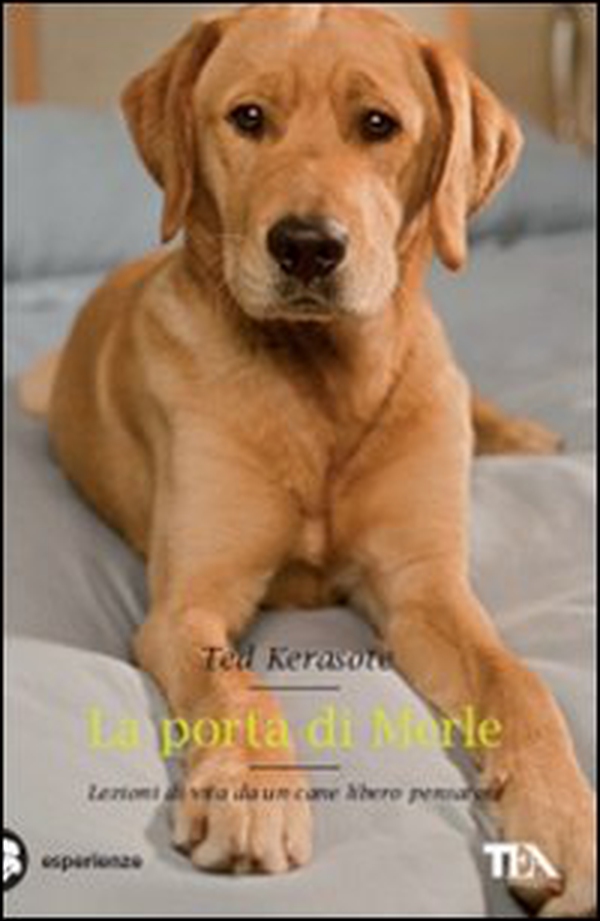 La porta di Merle. Lezioni da un cane libero pensatore - Librerie.coop La porta di Merle. Lezioni da un cane libero pensatore - Librerie.coop