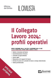 Il collegato lavoro 2024: profili operativi - Librerie.coop