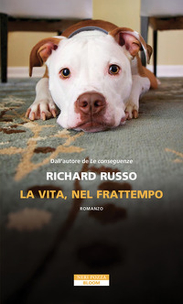 La vita, nel frattempo - Librerie.coop