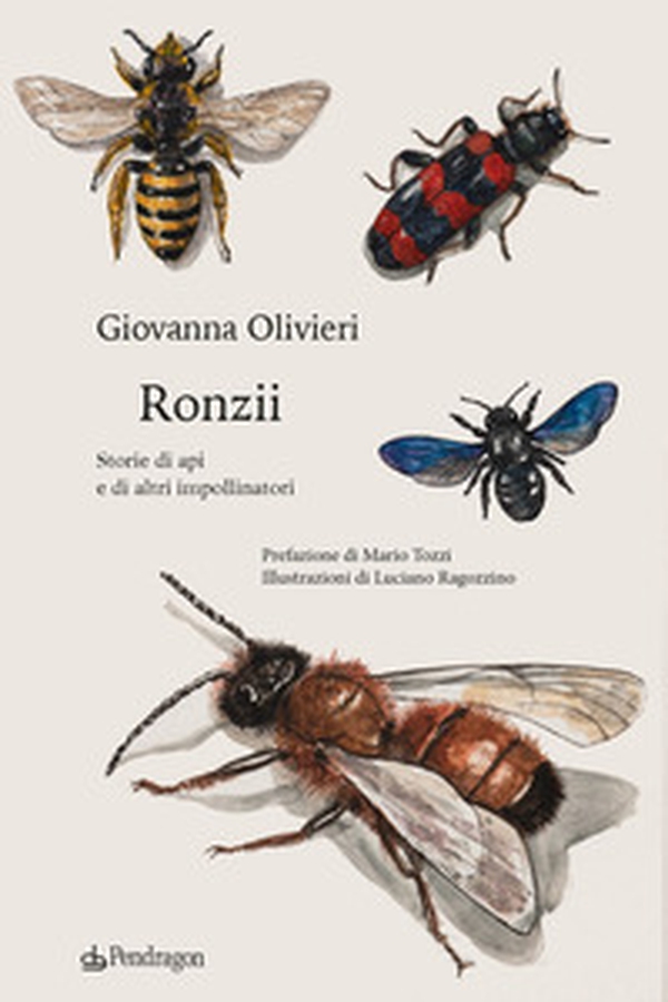 Ronzii. Storie di api e di altri impollinatori - Librerie.coop Ronzii. Storie di api e di altri impollinatori - Librerie.coop