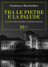 Tra le pietre e la palude. Mantova tra futuro e infinito passato - Librerie.coop