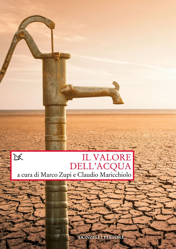 Il valore dell'acqua - Librerie.coop Il valore dell'acqua - Librerie.coop