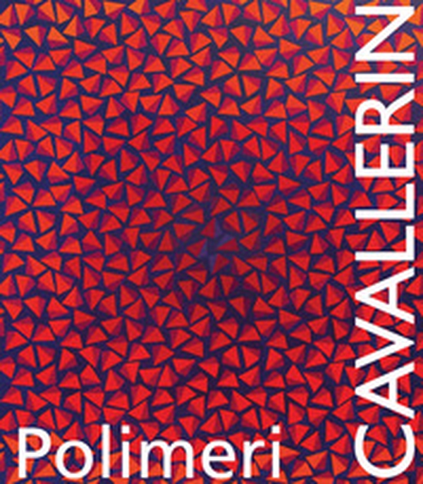 Polimeri Cavallerin - Librerie.coop