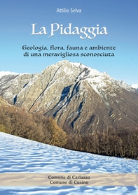 La pidaggia. Geologia, flora, fauna e ambiente di una meravigliosa sconosciuta - Librerie.coop