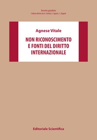 Non riconoscimento e fonti del diritto internazionale - Librerie.coop