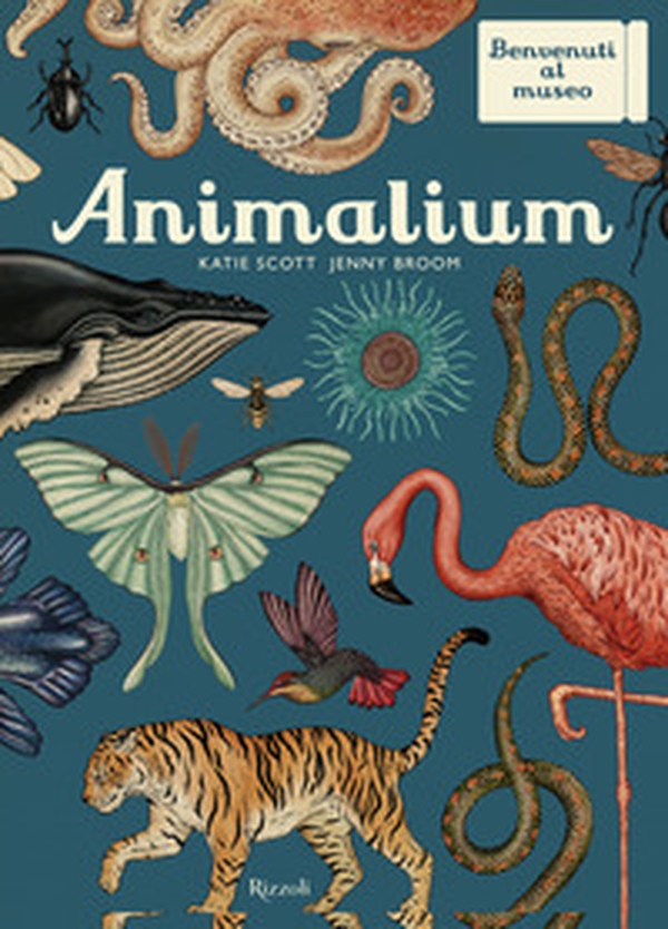 Animalium. Il grande museo degli animali - Librerie.coop Animalium. Il grande museo degli animali - Librerie.coop