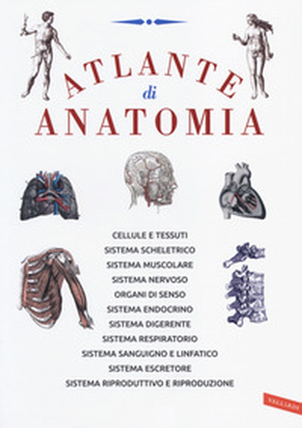 Atlante di anatomia - Librerie.coop Atlante di anatomia - Librerie.coop