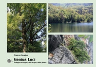 Genius loci. Trilogia del legno, dell'acqua, della pietra - Librerie.coop