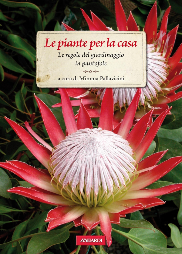 Le piante per la casa - Librerie.coop Le piante per la casa - Librerie.coop