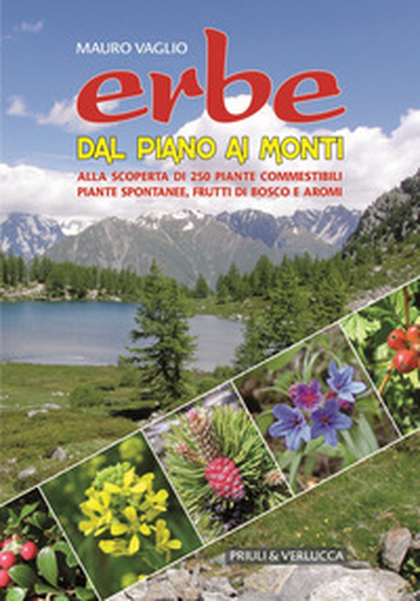 Erbe dal piano ai monti. Alla scoperta di 250 piante commestibili, piante spontanee, frutti di bosco e aromi - Librerie.coop Erbe dal piano ai monti. Alla scoperta di 250 piante commestibili, piante spontanee, frutti di bosco e aromi - Librerie.coop