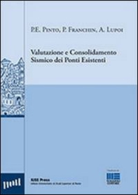 Valutazione e consolidamento sismico dei ponti esistenti - Librerie.coop