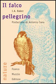 Il falco pellegrino - Librerie.coop Il falco pellegrino - Librerie.coop