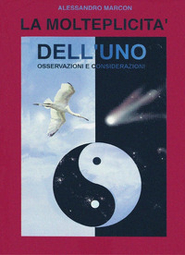 La molteplicità dell'uno - Librerie.coop La molteplicità dell'uno - Librerie.coop