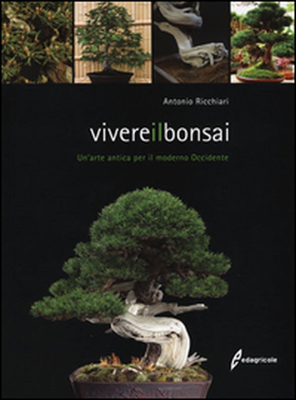 Vivere il bonsai. Un'arte antica per il moderno Occidente - Librerie.coop Vivere il bonsai. Un'arte antica per il moderno Occidente - Librerie.coop
