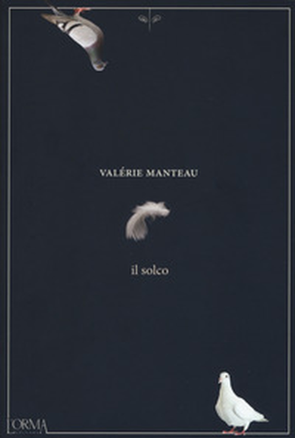 Il solco - Librerie.coop Il solco - Librerie.coop