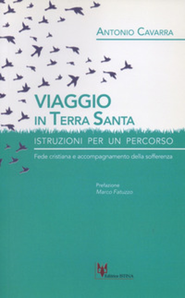 Viaggio in Terrasanta. Istruzioni per un percorso. Fede cristiana e accompagnamento della sofferenza - Librerie.coop