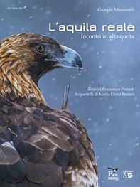 Aquila reale. Incontri in alta quota - Librerie.coop