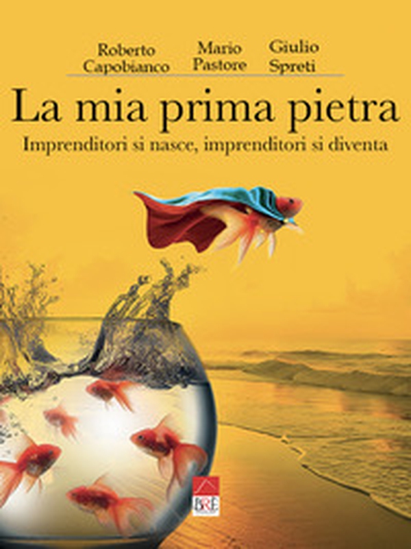 La mia prima pietra. Imprenditori si nasce, imprenditori si diventa - Librerie.coop La mia prima pietra. Imprenditori si nasce, imprenditori si diventa - Librerie.coop