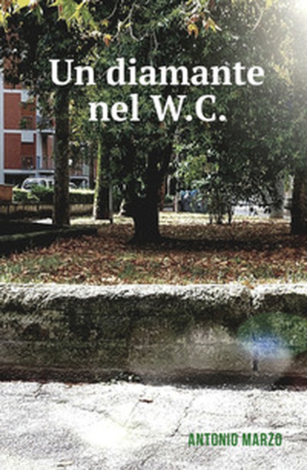 Un diamante nel W.C. - Librerie.coop Un diamante nel W.C. - Librerie.coop