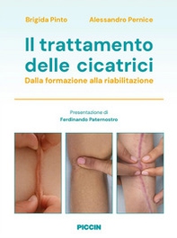 Il trattamento delle cicatrici. Dalla formazione alla riabilitazione - Librerie.coop
