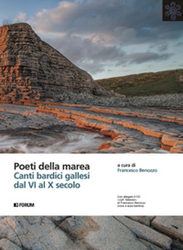 Poeti della marea. Canti bardici gallesi dal VI al X secolo - Librerie.coop Poeti della marea. Canti bardici gallesi dal VI al X secolo - Librerie.coop