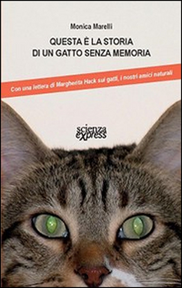 Questa è la storia di un gatto senza memoria - Librerie.coop Questa è la storia di un gatto senza memoria - Librerie.coop
