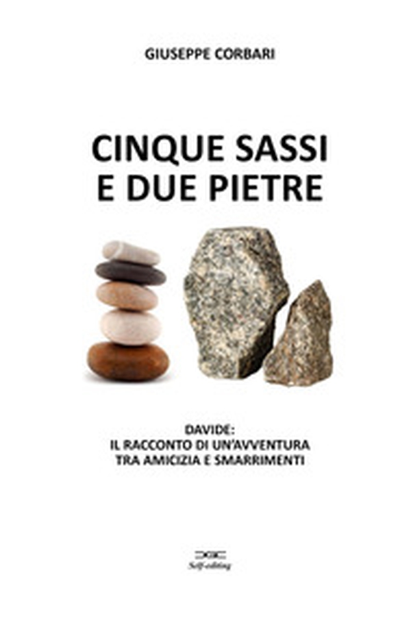 Cinque sassi e due pietre. Davide: il racconto di un'avventura tra amicizia e smarrimenti - Librerie.coop Cinque sassi e due pietre. Davide: il racconto di un'avventura tra amicizia e smarrimenti - Librerie.coop