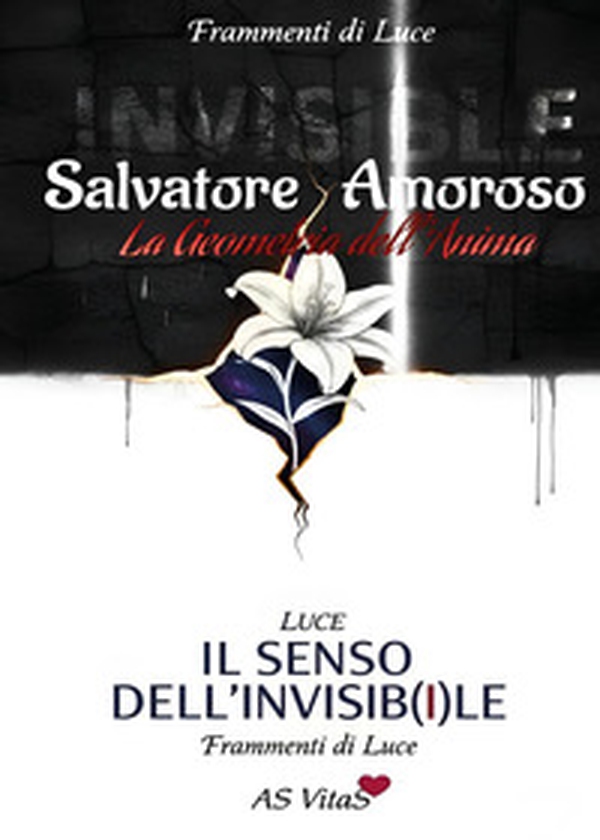 Il senso dell'invisibile. La geometria dell'anima - Librerie.coop