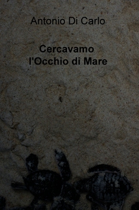 Cercavamo l'Occhio di Mare - Librerie.coop