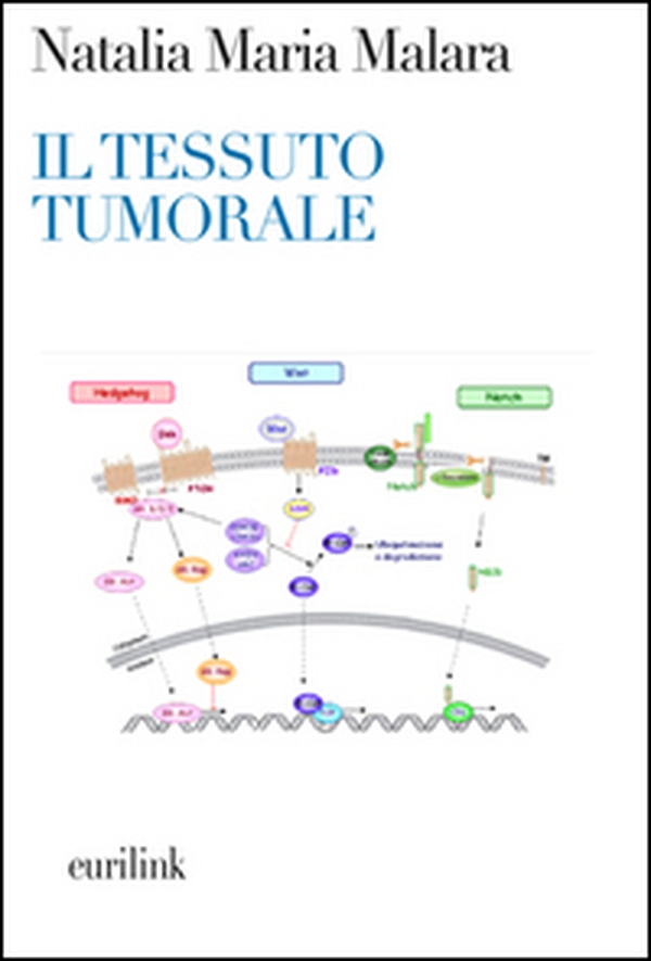 Il tessuto tumorale. Nuove prospettive diagnostico-terapeutiche in oncologia - Librerie.coop Il tessuto tumorale. Nuove prospettive diagnostico-terapeutiche in oncologia - Librerie.coop