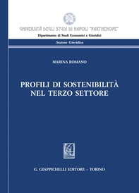 Profili di sostenibilità nel Terzo Settore - e-Book - Librerie.coop