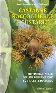 Castagne. Raccoglierle e gustarle. 28 itinerari sulle colline bergamasche e 28 ricette in cucina - Librerie.coop Castagne. Raccoglierle e gustarle. 28 itinerari sulle colline bergamasche e 28 ricette in cucina - Librerie.coop