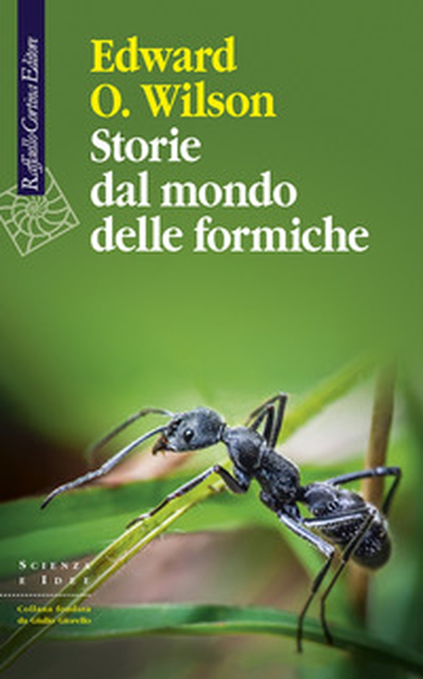 Storie dal mondo delle formiche - Librerie.coop Storie dal mondo delle formiche - Librerie.coop