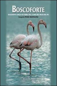 Boscoforte - Librerie.coop