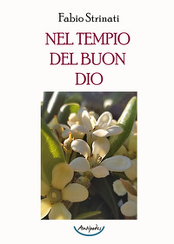 Nel tempio del buon Dio - Librerie.coop Nel tempio del buon Dio - Librerie.coop