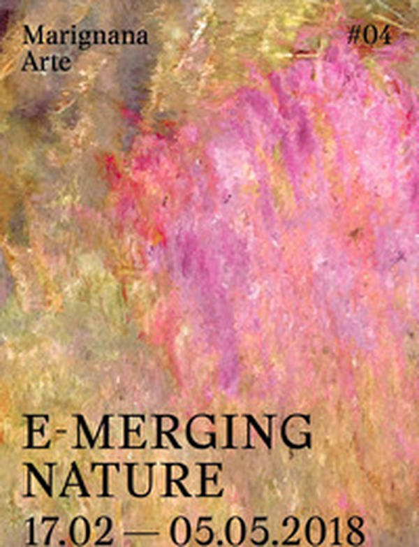 E-merging nature. Ediz. italiana e inglese - Librerie.coop E-merging nature. Ediz. italiana e inglese - Librerie.coop